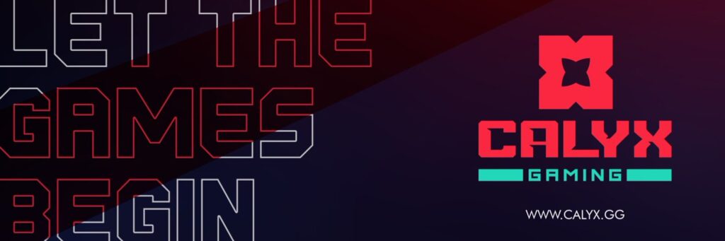 Calyx, Riot Games Shared Information About MENA Wild Rift Tournament!